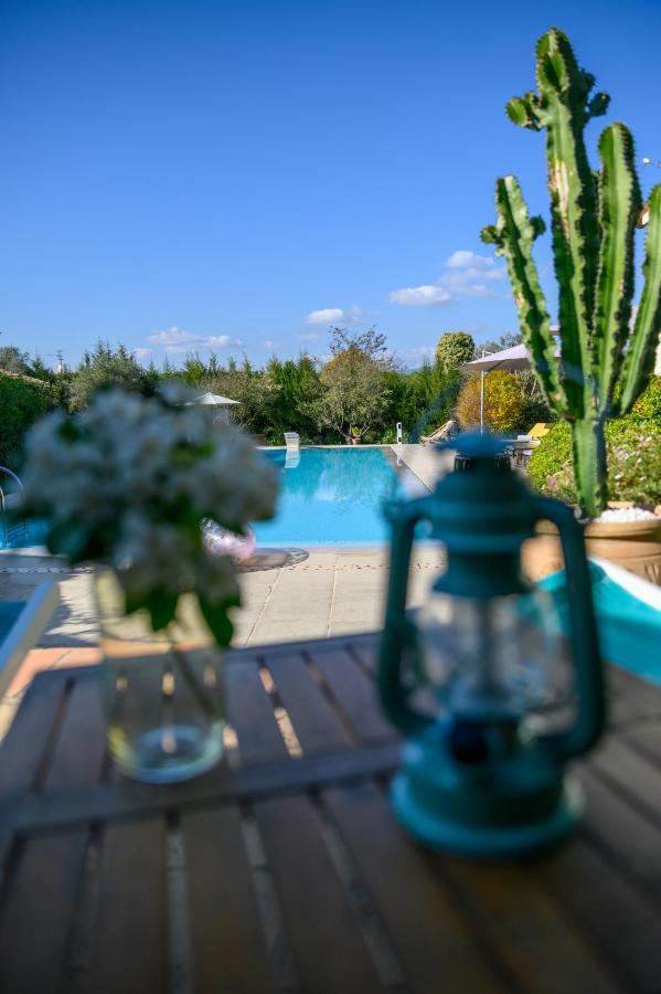 Le Mas De La Source Bed and Breakfast Mougins Buitenkant foto